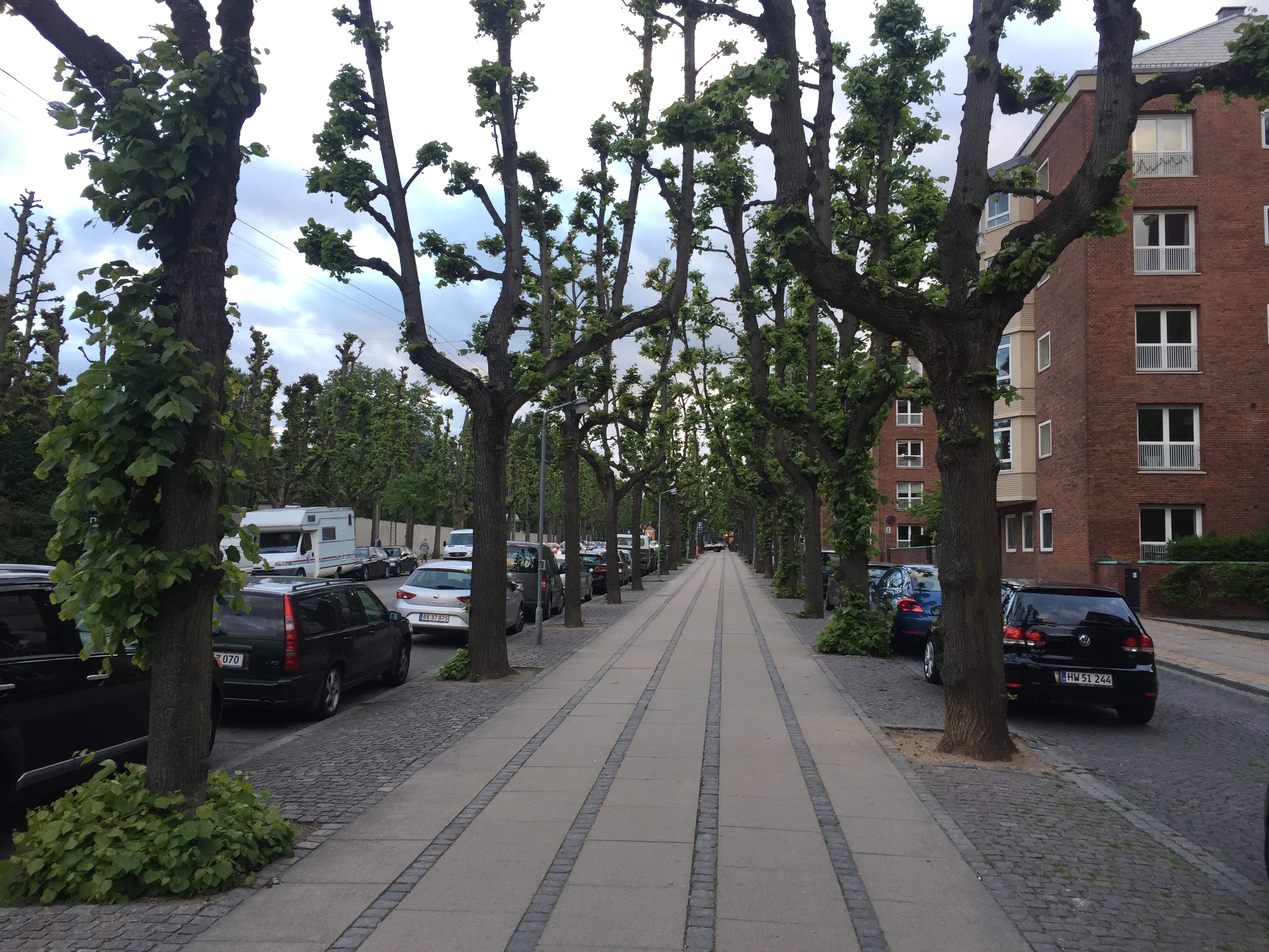 Calle de Copenhague